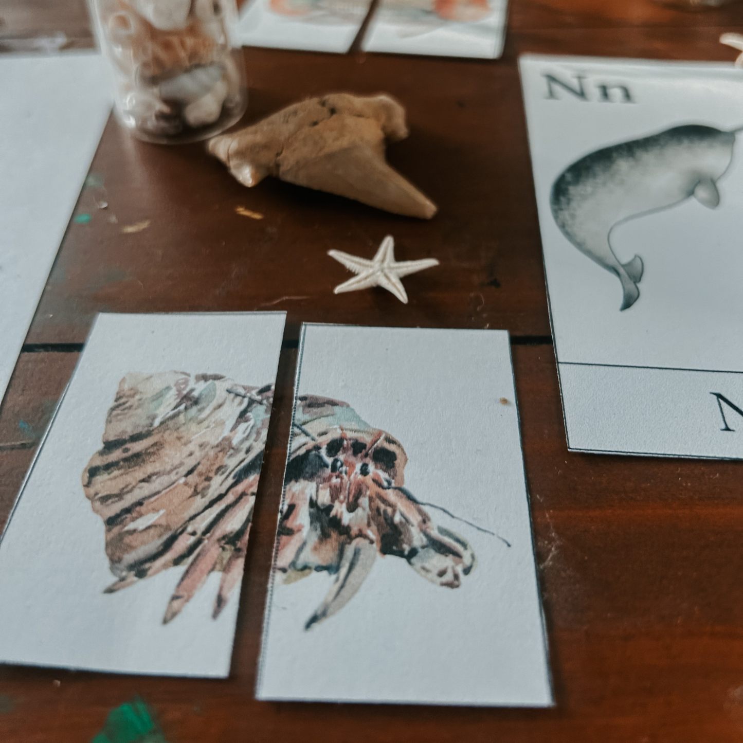 Ocean Animals Learning Pack