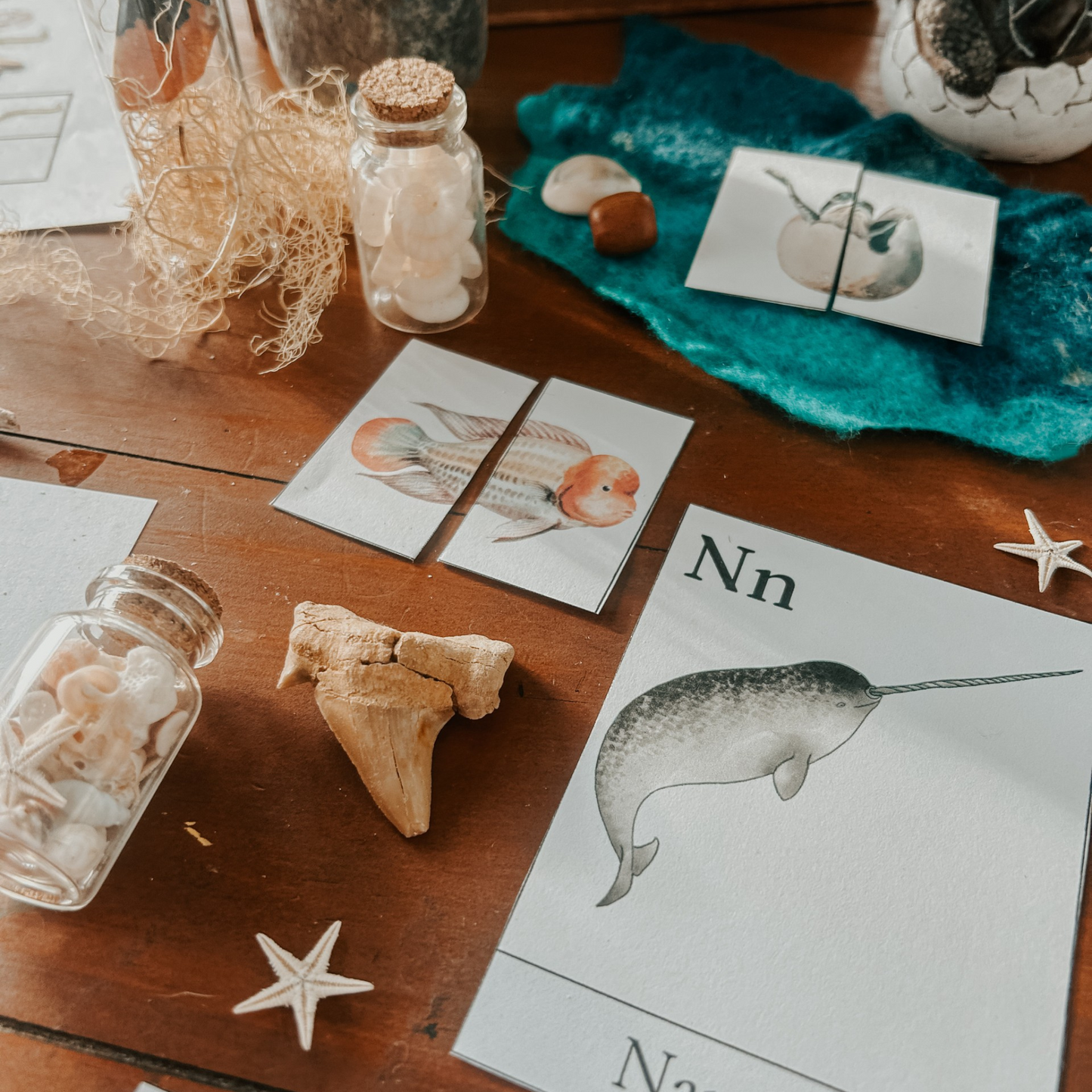 Ocean Animals Learning Pack