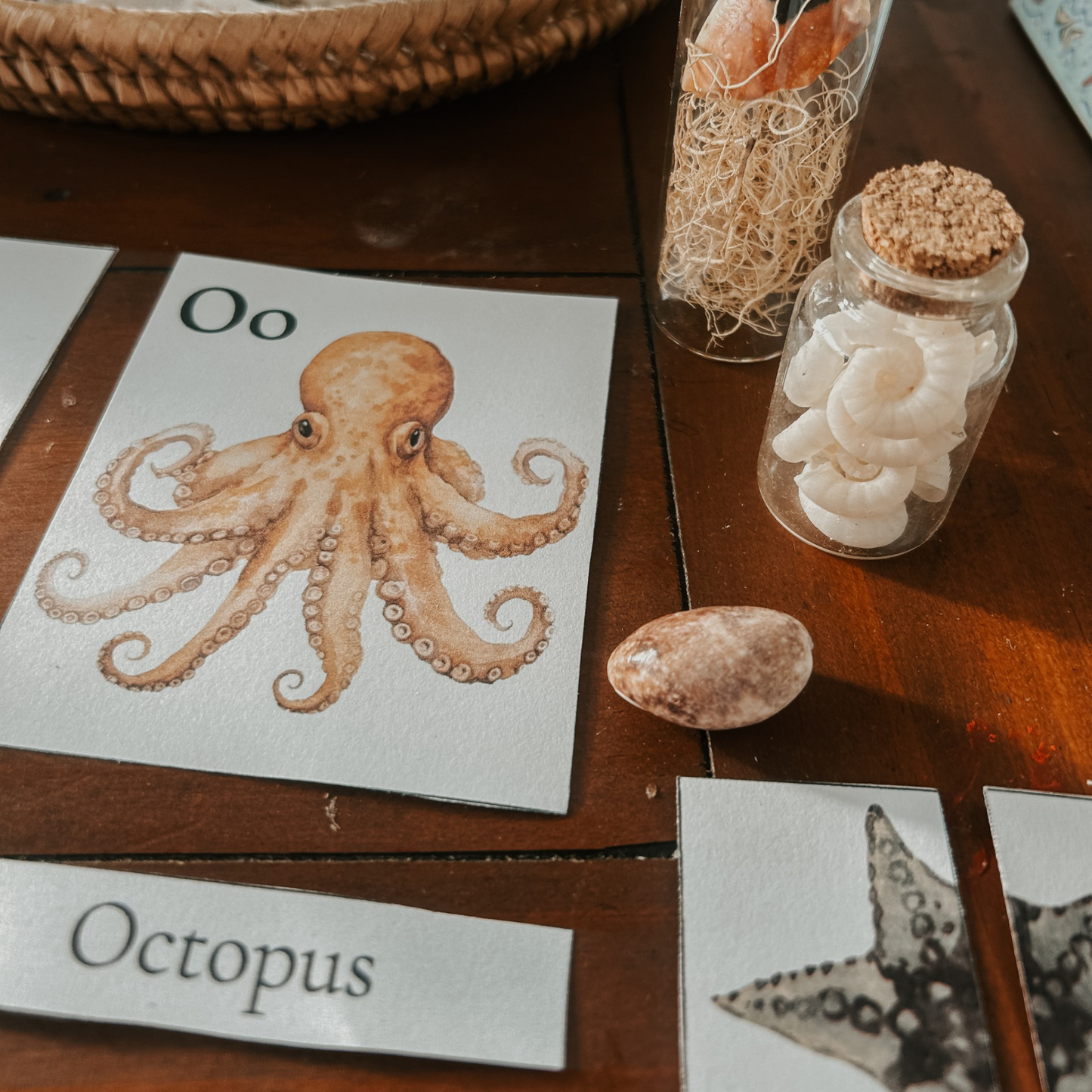 Ocean Animals Learning Pack