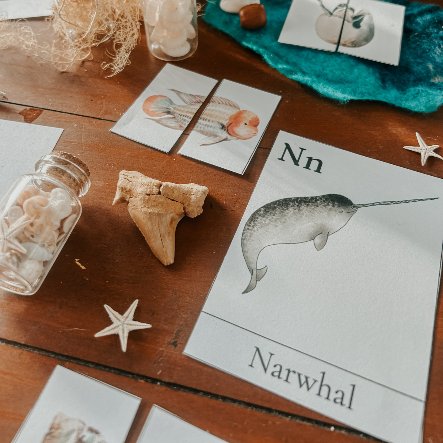 Ocean Animals Learning Pack