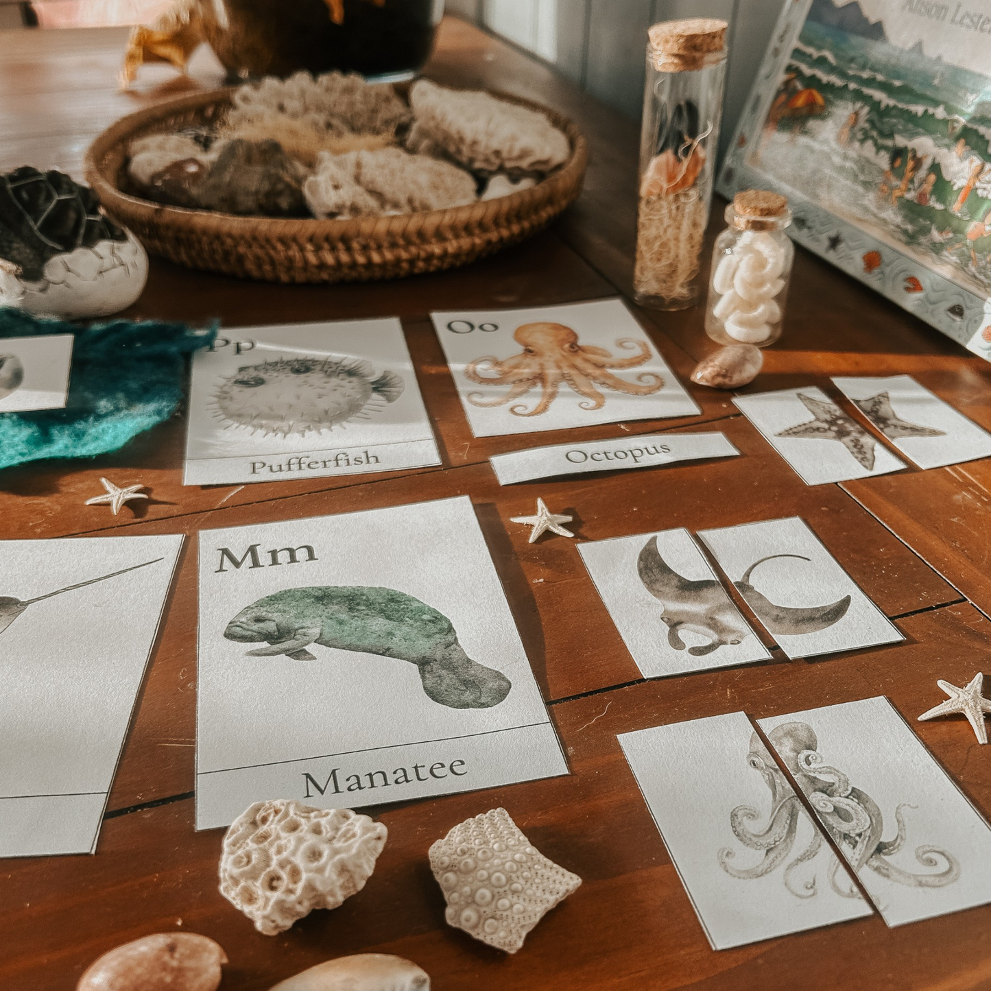 Ocean Animals Learning Pack