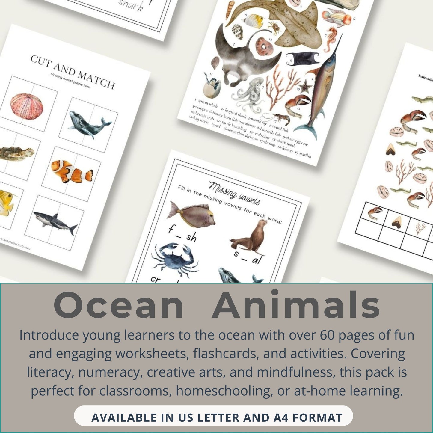 Ocean Animals Learning Pack