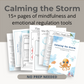 Calming the Storm - Mindfulness and Emotional Regulation for Kids - Grades K-3