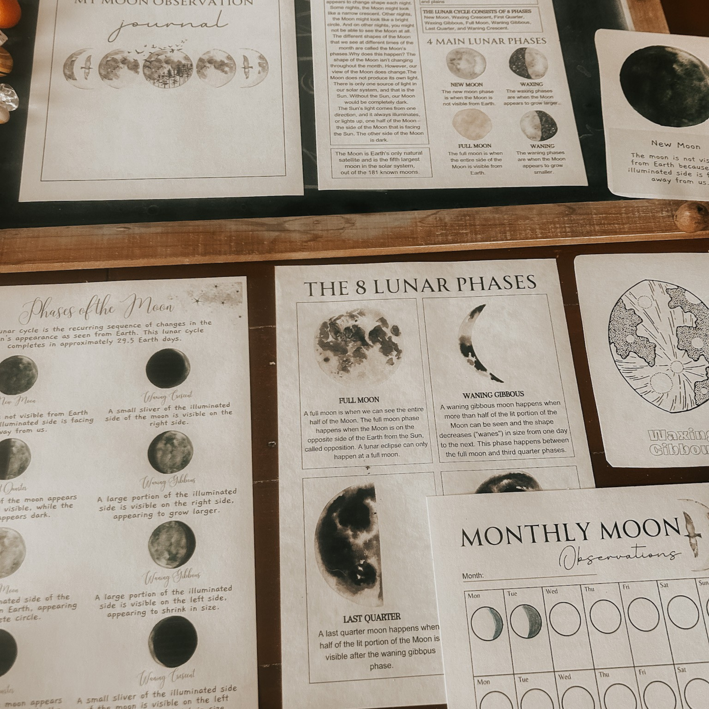 Moon Study & Activity Pack